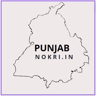 Punjab B.ED ENTRANCE EXAM PREVIOUS YEAR QUESTION PAPER PDF WITH ANSWERS ...